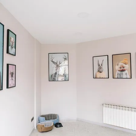 Ferienhaus Casa Penasblancas En Soria 12personas